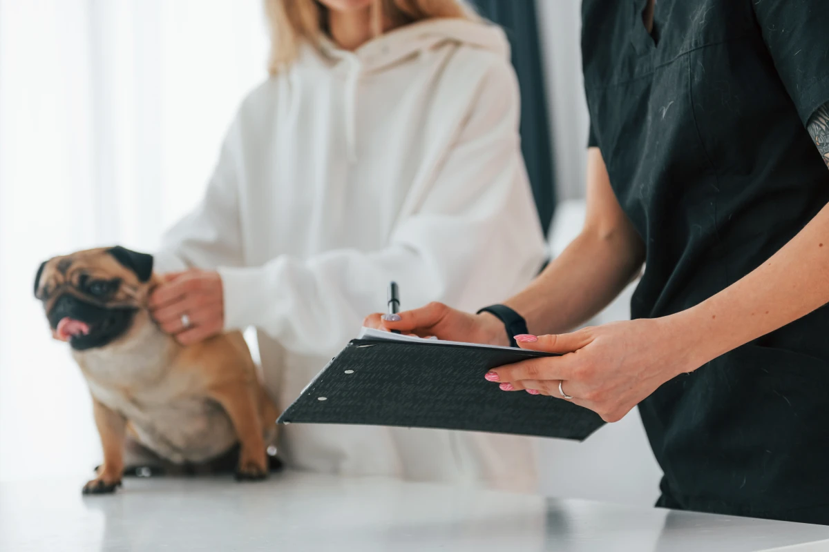 Déclaration de cessation des paiements : comprendre et agir en tant qu'entreprise